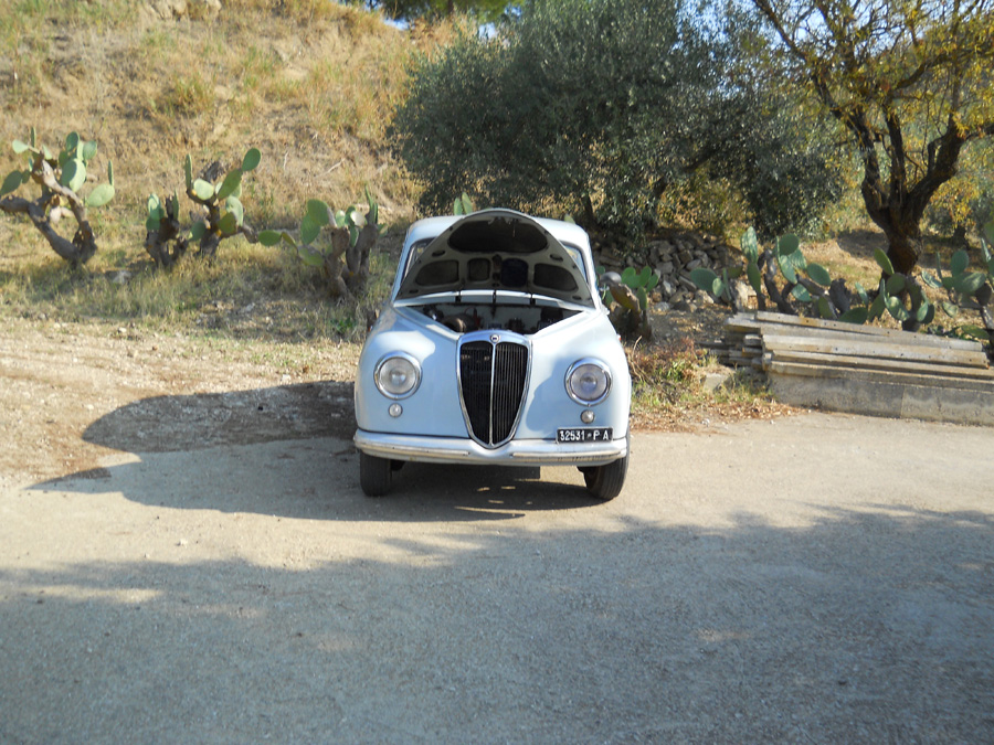 DSCN0807.jpg